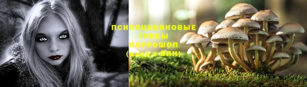 гашик Няндома