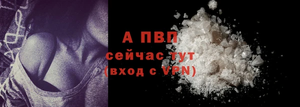 mdpv Новодвинск