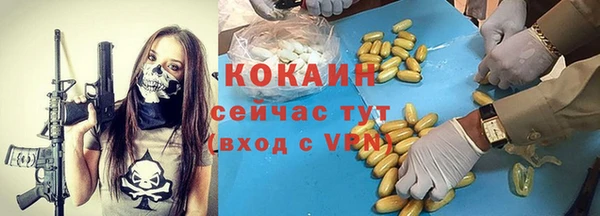 spice Новозыбков