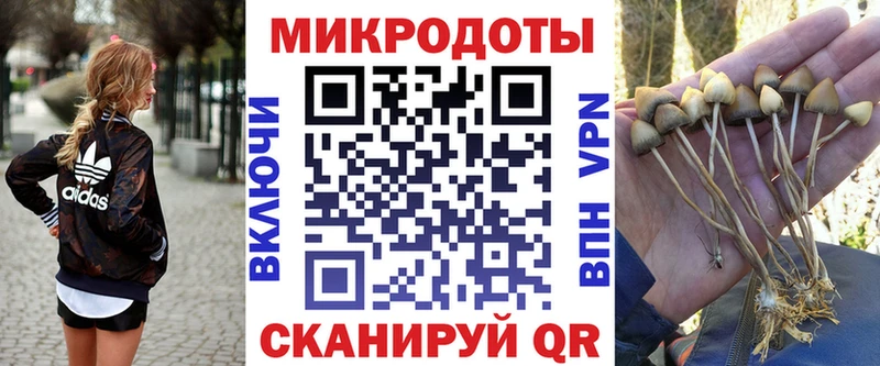 Галлюциногенные грибы Psilocybine cubensis  продажа наркотиков  Михайловск 
