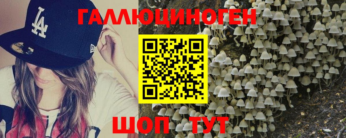 Михайловск  Псилоцибиновые грибы ЛСД  Псилоцибиновые грибы мицелий  Вход с VPN 